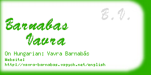 barnabas vavra business card